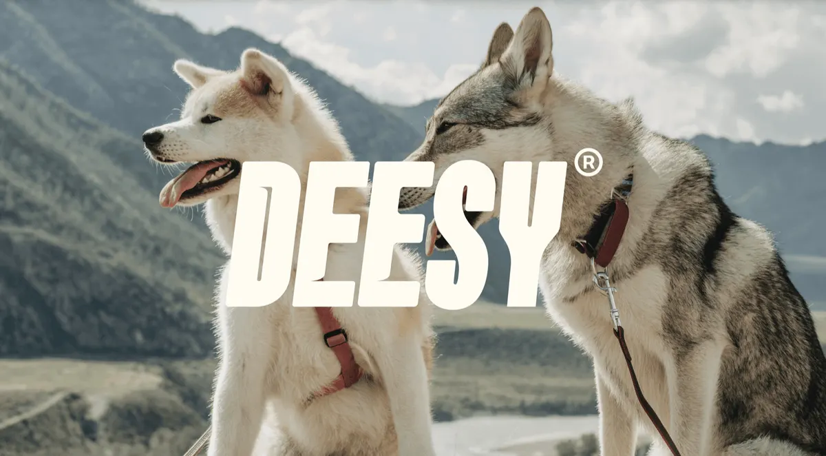 Deesy brand identity visual with two dogs in mountain landscape